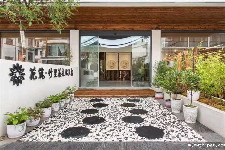 1648695169830518.jpg 3.jpg