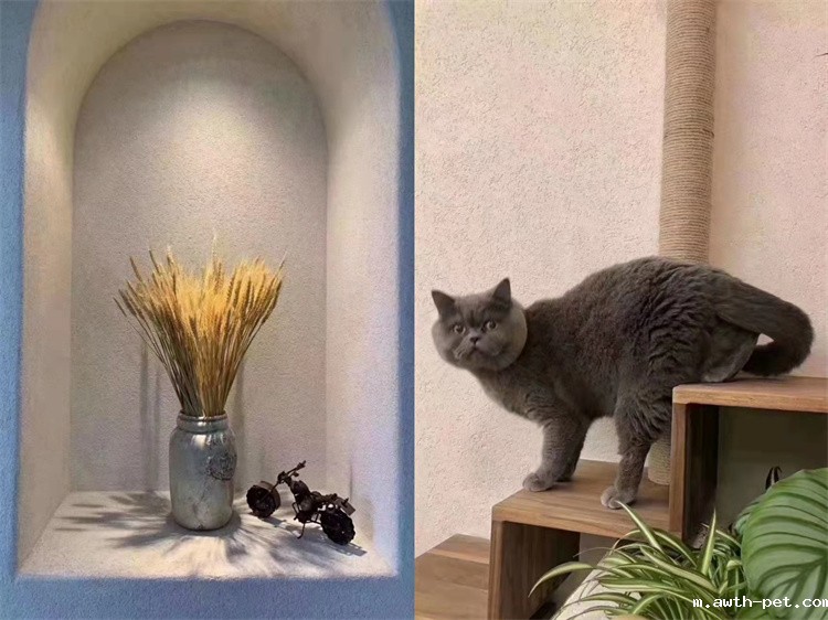 1648695766716832.jpg 61c4a52e52bbdd72b562ac7e979fc1a.jpg