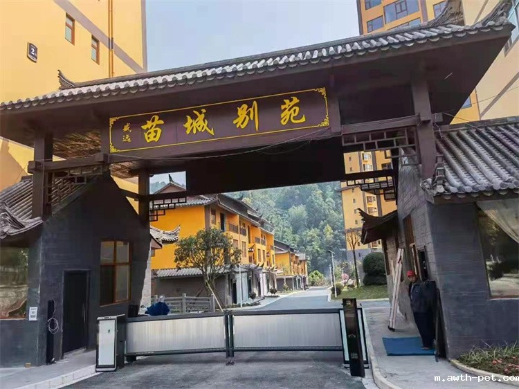 1648697099759131.jpg 2.jpg