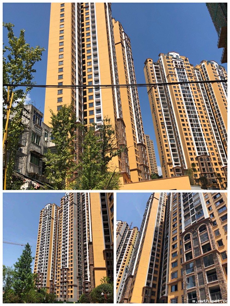 1650594069139206.jpg 053bc9f850aacb9873e2a0ed8b88648.jpg