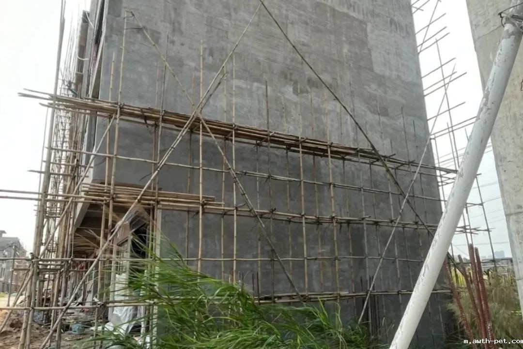 1756348650360783.jpg 640 (4).jpg