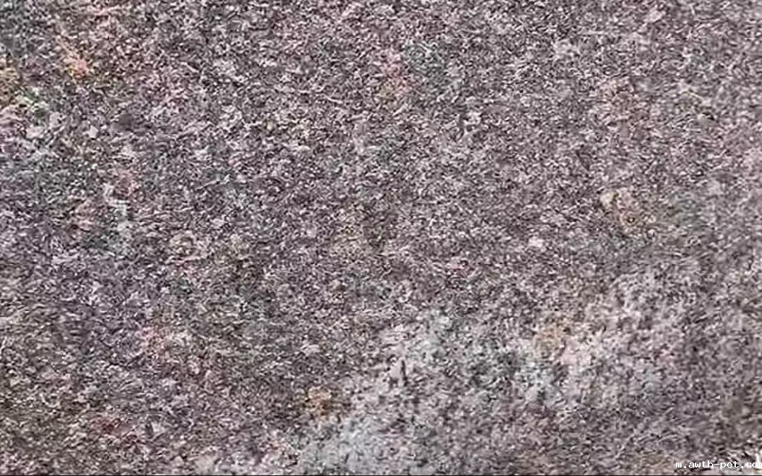 1756949208766961.jpg 微信图片_202509040919551.jpg