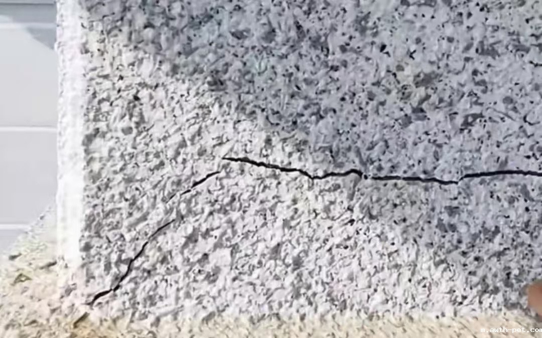 1758163540569410.jpg 微信图片_20250904091955.jpg